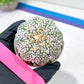 Astrophytum V-Type (#T4A) | Las Vegas Plant Shop | 3" Pot