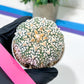 Astrophytum V-Type (#T4A) | Las Vegas Plant Shop | 3" Pot