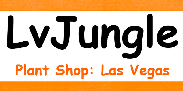 Lvjungle Plant Shop