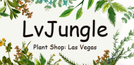 Lvjungle