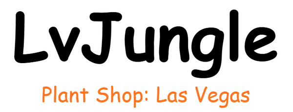 Lvjungle