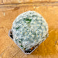 Mammillaria Plumosa (#P5) | Cotton Cactus | Fluffy Cactus | 2.8Inch Planter