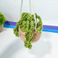 Houseplant Decor (#7) Crochet Hanging Plant, Car Charms, Crochet Potted Flower, Crochet Decor | Car Rearview Mirror Decor