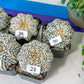 V-type Cactus Astro (#Te16~30) | Rare From Japan | succulent Cactus | In 2Inch Planter