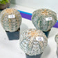 Astrocactus SUPERKABUTO (#TJ10~18) | Succulents From Japan | Myriostigma | 2.5+ Inch