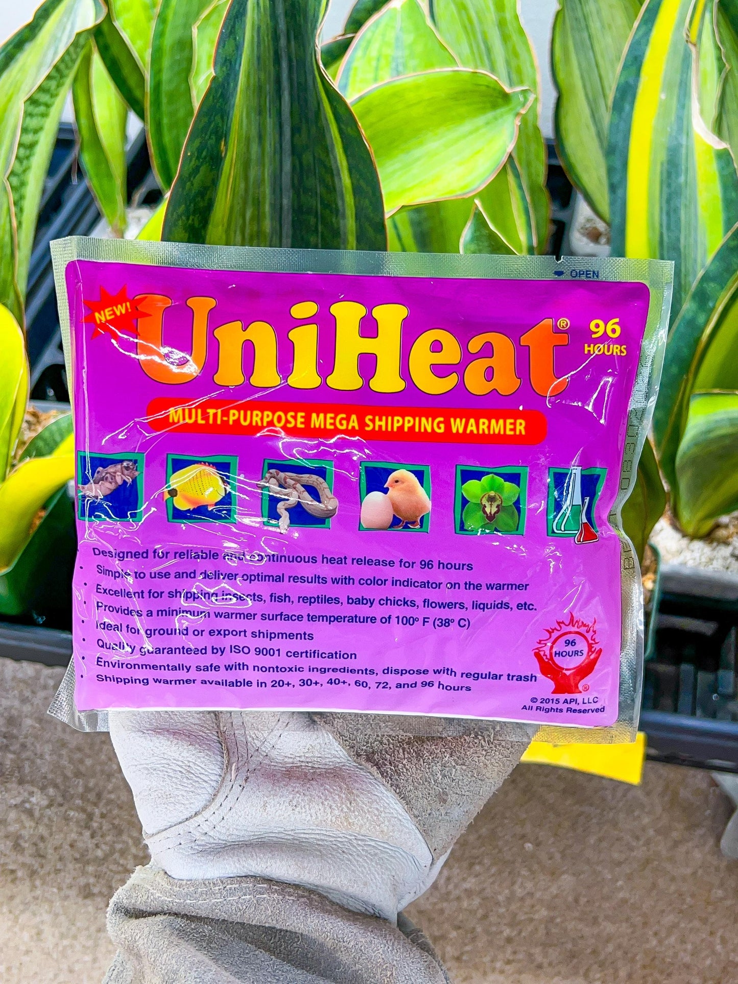 Uniheat 96 Hours Heat Pack | Ca