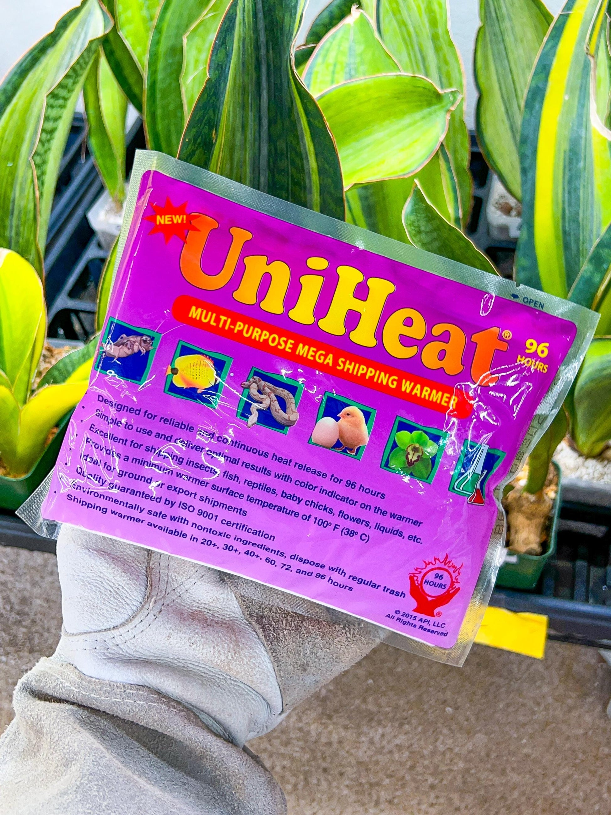 Uniheat 96 Hours Heat Pack | Ca