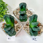 Haworthia Tanaka Yuuichi (#HZ1) | Impored Haworthia