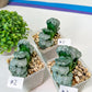 Haworthia Truncata White Mammoth (#Y8) | Impored Haworthia