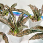 Sansevieria kirkii Coppertone | Give yourself a little green reward