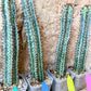 Confinalis Ssp. Rhodesia Cactus | Mint Color cactus | Rare cactus