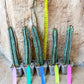 Confinalis Ssp. Rhodesia Cactus | Imported Cactus | Rare Succulent