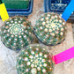 Notocactus Uebelmannianus | Rare succulent | 3.5" Planter