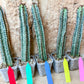 Confinalis Ssp. Rhodesia Cactus | Mint Color cactus | Rare cactus
