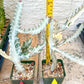 Ghost cactus (G1) | White variegated Euphorb lactea | Imported Cactus