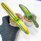 gasteria cariienatta | Imported Succulent
