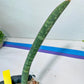 Sansevieria Baseball Bat (#E3) | CImported Plants | Rare Hybrid Species