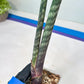 Sanseviera Pies Morados (#B1) | New Imported Hybrids