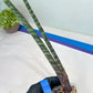 Sanseviera Pies Morados (#B1) | New Imported Hybrids