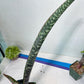 Sansevieria lila kniv Type 1 | Imported Plants | Hybrids Plants