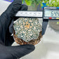 Astrophytum V-Type (#T1G3) | Nevada Botanical Shop | 3" Pot