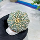 Custom Order- You'll receive the exact live plant (#T1R2) | USA Plant Seller | 3" Pot