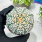 Custom Order- We’ll send you the exact live plant pictured (T2) (Y1) | NEVADA Plant Seller | 3" Pot