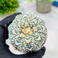 Custom Order- You'll receive the exact live plant (T2) (Y7) | NEVADA Seller | 3" Pot