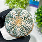 Custom Order- You will get the exact plant (T2) (B3) | USA Plant Seller | 3" Pot
