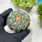 Custom Order- We’ll send you the exact live plant pictured (T3) (o2) | NEVADA Plant Seller | 3" Pot