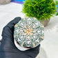 Custom Order- We’ll send you the exact live plant pictured (T4) (p1) | NEVADA Plant Seller | 3" Pot