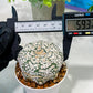 Custom Order- We’ll send you the exact live plant pictured (T5) (g2) | Las Vegas Plant Shop | 3" Pot