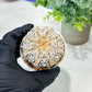 Custom Order- We’ll send you the exact live plant pictured (T5) (o7) | Nevada Plant Seller | 3" Pot