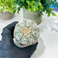 Custom Order- We’ll send you the exact live plant pictured (T8) (g3) | SHIP from USA | 3" Pot