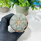 Custom Order- We’ll send you the exact live plant pictured (T8) (g6) | American Plant Seller | 3" Pot