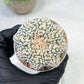 Custom Order- We’ll send you the exact live plant pictured (T9) (r2) | Las Vegas Plant Shop | 3" Pot