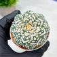 Custom Order- We’ll send you the exact live plant pictured (T9) (p2) | Las Vegas Plant Shop | 3" Pot