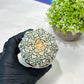 Custom Order- We’ll send you the exact live plant pictured (T9) (p4) | Las Vegas PLANT SELLER| 3" Pot