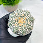 Custom Order- We’ll send you the exact live plant pictured (T9) (p4) | Las Vegas PLANT SELLER| 3" Pot