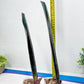 Sansevieria Dab Mud (B3) | New Hybrids Imported
