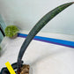 Sansevieria Dab Mud (B3) | New Hybrids Imported