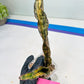 Sansevieria Kirkii Coppertone Variegated | Uncover a Rare and Unusual Plant (4~6)