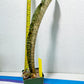 Sansevieria Kirkii Pepito | Imported Snake Plants
