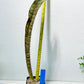 Sansevieria Kirkii Pepito (#R6~8) | Very Rare Import Snake Plants
