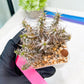 Euphorb Genoudiana (P-Y) | imported Plants