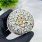 Custom Order- You'll receive the exact live plant (#T1P1) | USA Plant Seller | 3" Pot