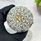 Custom Order- We’ll send you the exact live plant pictured (T2) (B1) | NEVADA Plant Seller | 3" Pot