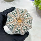 Custom Order- You'll receive the exact live plant (T2) (B7) | NEVADA Seller | 3" Pot
