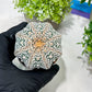 Custom Order- You'll receive the exact live plant (T2) (B7) | NEVADA Seller | 3" Pot