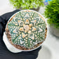 Custom Order- We’ll send you the exact live plant pictured (T3) (G2) | NEVADA Plant Seller | 3" Pot